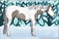 Horse Color:Smoky Grullo Splash Tobiano Rabicano 