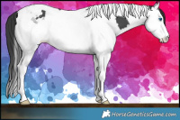 Horse Color:Black Splash Tobiano 