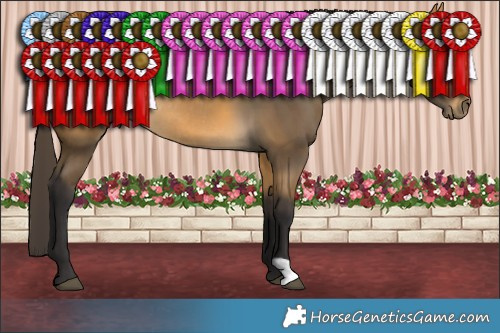 Horse Color:Buckskin Rabicano 
