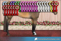 Horse Color:Buckskin Rabicano 