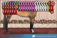 Horse Color:Buckskin Rabicano 