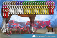 Horse Color:Bay Splash Rabicano