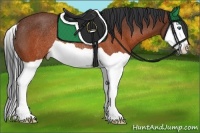 Horse Color:Brown Splash Rabicano