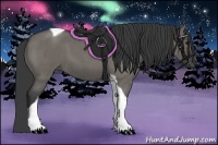 Horse Color:Grullo Roan Tobiano