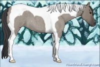 Horse Color:Smoky Grullo Roan Tobiano