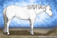 Horse Color:Liver Red Roan Frame Varnish 