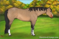 Horse Color:White Spotted Bay Roan Dun Frame