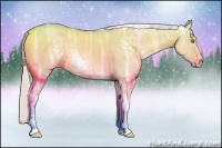 Horse Color:White Spotted Silver Classic Champagne Ice Dun Tobiano 