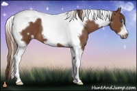 Horse Color:Chestnut Tobiano Frame