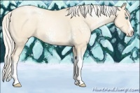 Horse Color:White Spotted Gold Cream Champagne Pearl Splash Tobiano 
