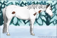 Horse Color:Brown Sabino Splash Tobiano Rabicano 