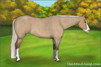 Horse Color:Silver Bay Roan Dun Splash