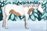 Horse Color:Silver Buckskin Splash Tobiano