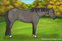 Horse Color:Smoky Grullo 