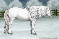 Horse Color:Chocolate Palomino Splash Appaloosa