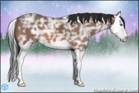 Horse Color:Bay Ice Splash 