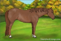 Horse Color:Chestnut Rabicano 