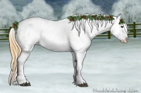 Horse Color:Buckskin Appaloosa