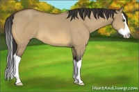 Horse Color:Buckskin Roan Dun Splash
