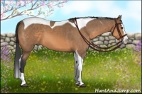 Horse Color:Buckskin Splash Tobiano 