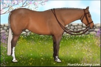 Horse Color:Silver Bay Frame 