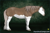 Horse Color:Chocolate Palomino Splash