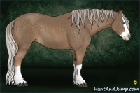 Horse Color:Chocolate Palomino Splash Rabicano
