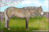Horse Color:Silver Grullo Sabino Splash Frame Rabicano