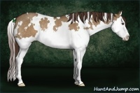 Horse Color:White Spotted Liver Red Dun Splash Rabicano