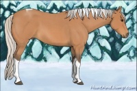 Horse Color:Silver Bay Roan Tobiano 