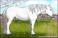 Horse Color:Chestnut Blanket 