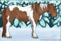 Horse Color:Chestnut Tobiano 