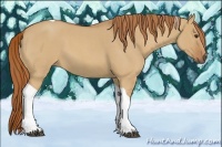 Horse Color:Red Dun Roan Tobiano