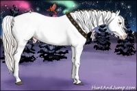 Horse Color:Silver Black Appaloosa 