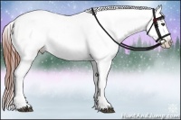 Horse Color:Brown Snowcap Rabicano 