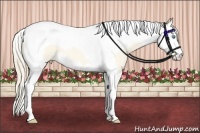 Horse Color:Perlino Roan Dun Splash Tobiano 