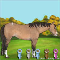 Horse Color:Bay Dun Splash Tobiano Rabicano