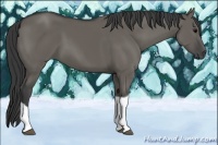 Horse Color:Grullo Tobiano