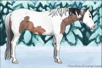 Horse Color:Bay Roan Splash Tobiano