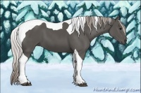 Horse Color:Silver Black Tobiano