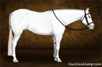 Horse Color:Smoky Grullo Splash Appaloosa Rabicano 