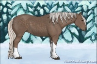 Horse Color:Silver Black Tobiano