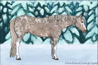 Horse Color:White Spotted Silver Black Ice Sabino