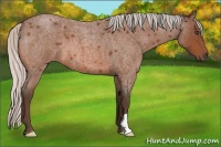 Horse Color:Silver Bay Roan Frame 