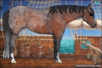 Horse Color:Brown Ice 