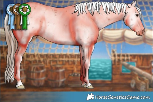 Horse Color:Chestnut Ice Sabino 