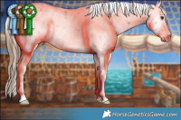 Horse Color:Chestnut Ice Sabino 