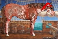 Horse Color:Chestnut Ice Sabino 