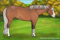 Horse Color:Silver Brown Roan Sabino Splash