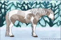 Horse Color:Silver Grullo Sabino Splash Tobiano 